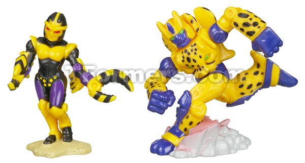 Robot Heroes Blackarachinia V Cheetor (1 of 10)